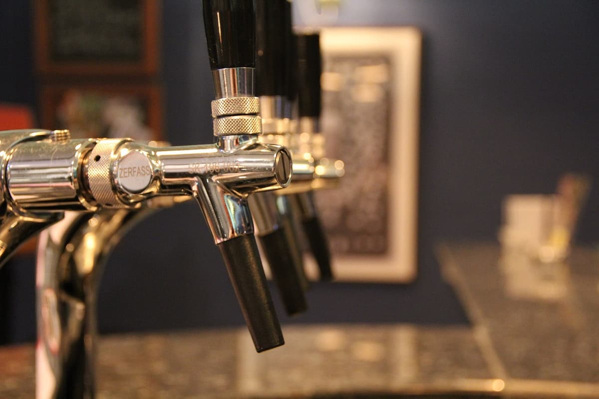 Mount Coot-tha Lookout and XXXX Brewery Tour