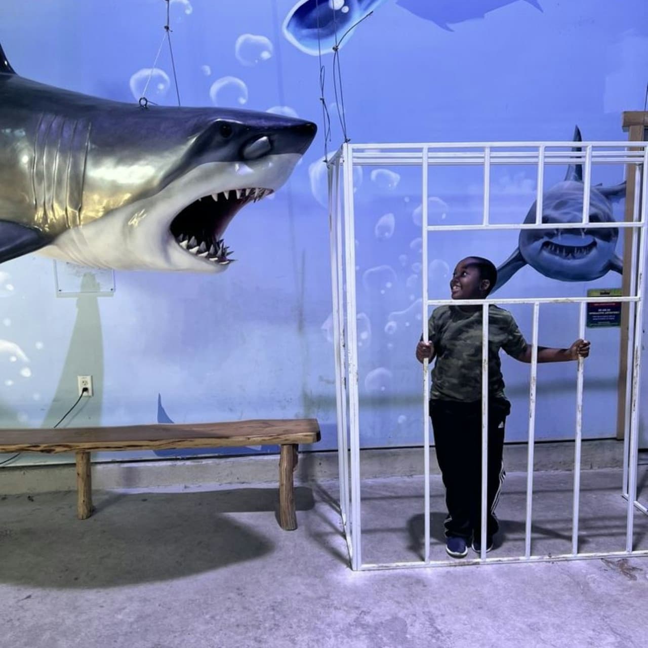 Houston Interactive Aquarium & Animal Preserve Ticket