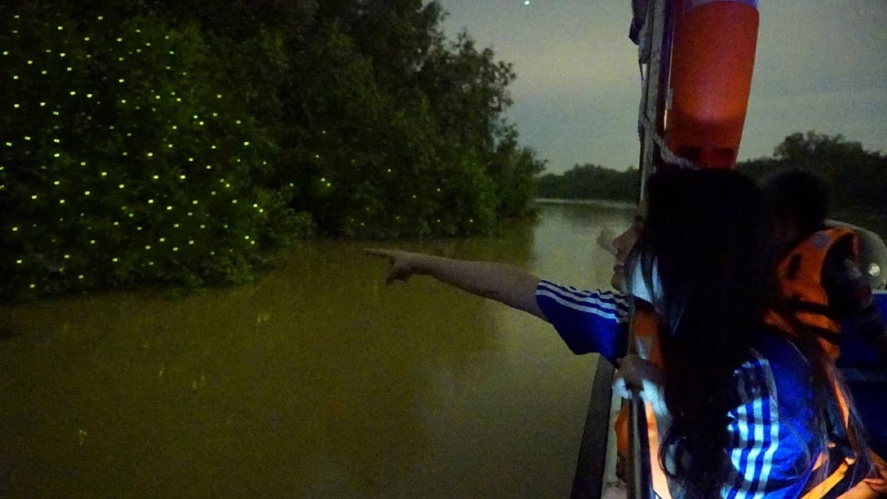 Fireflies Boat Cruise in Kuala Selangor – photo 2