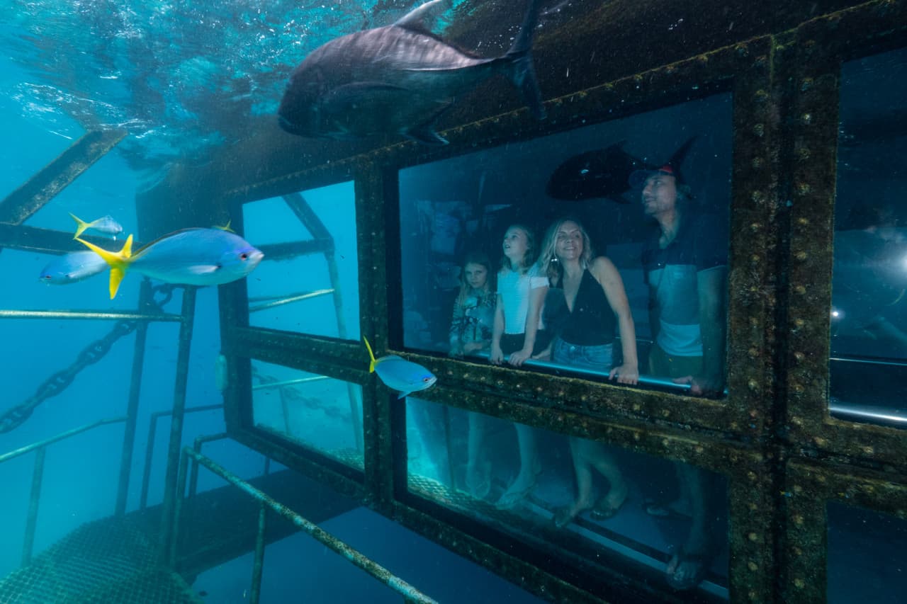 Reef Magic Pontoon Tour from Cairns – photo 4