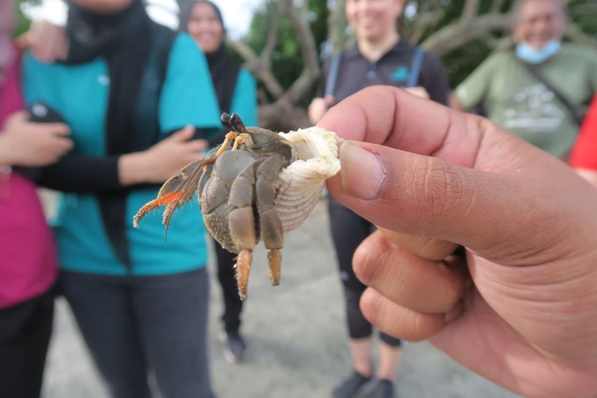 Desaru Beach and Tide Pool Walk