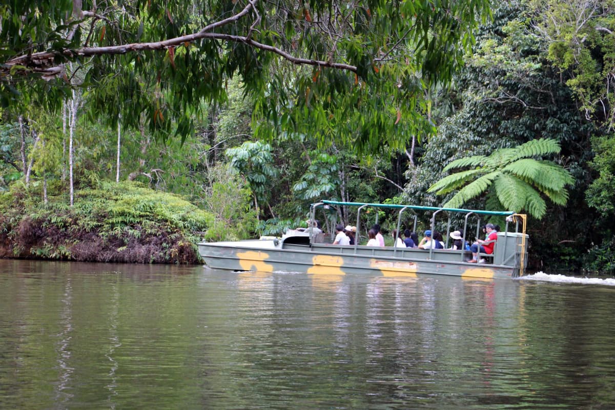 Kuranda Rainforestation Nature Park Full-Day Tour from Cairns with Skyrail Rainforest Cableway
