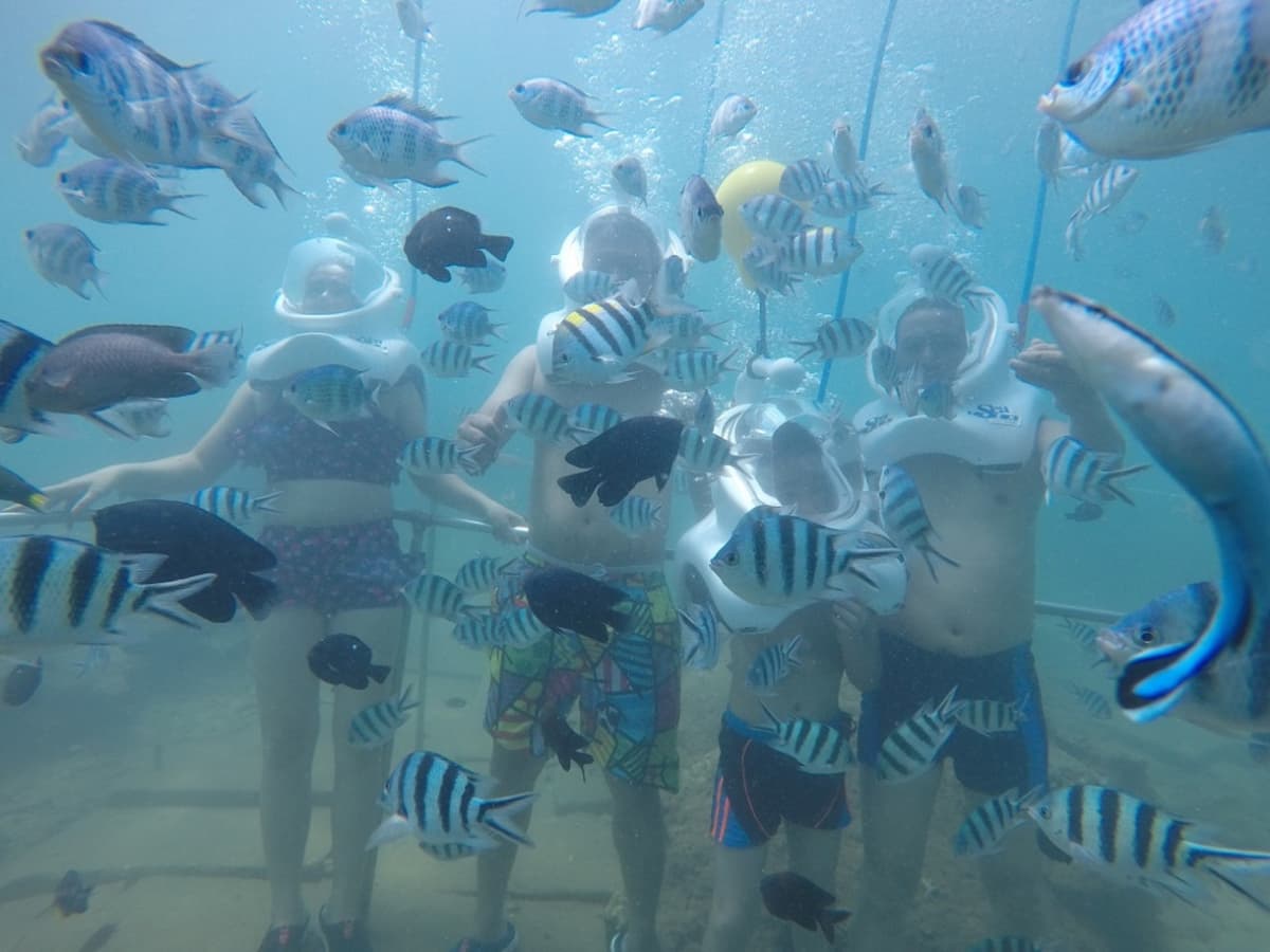 Cham Islands Underwater Walking and Snorkelling Half-Day Tour from Da Nang