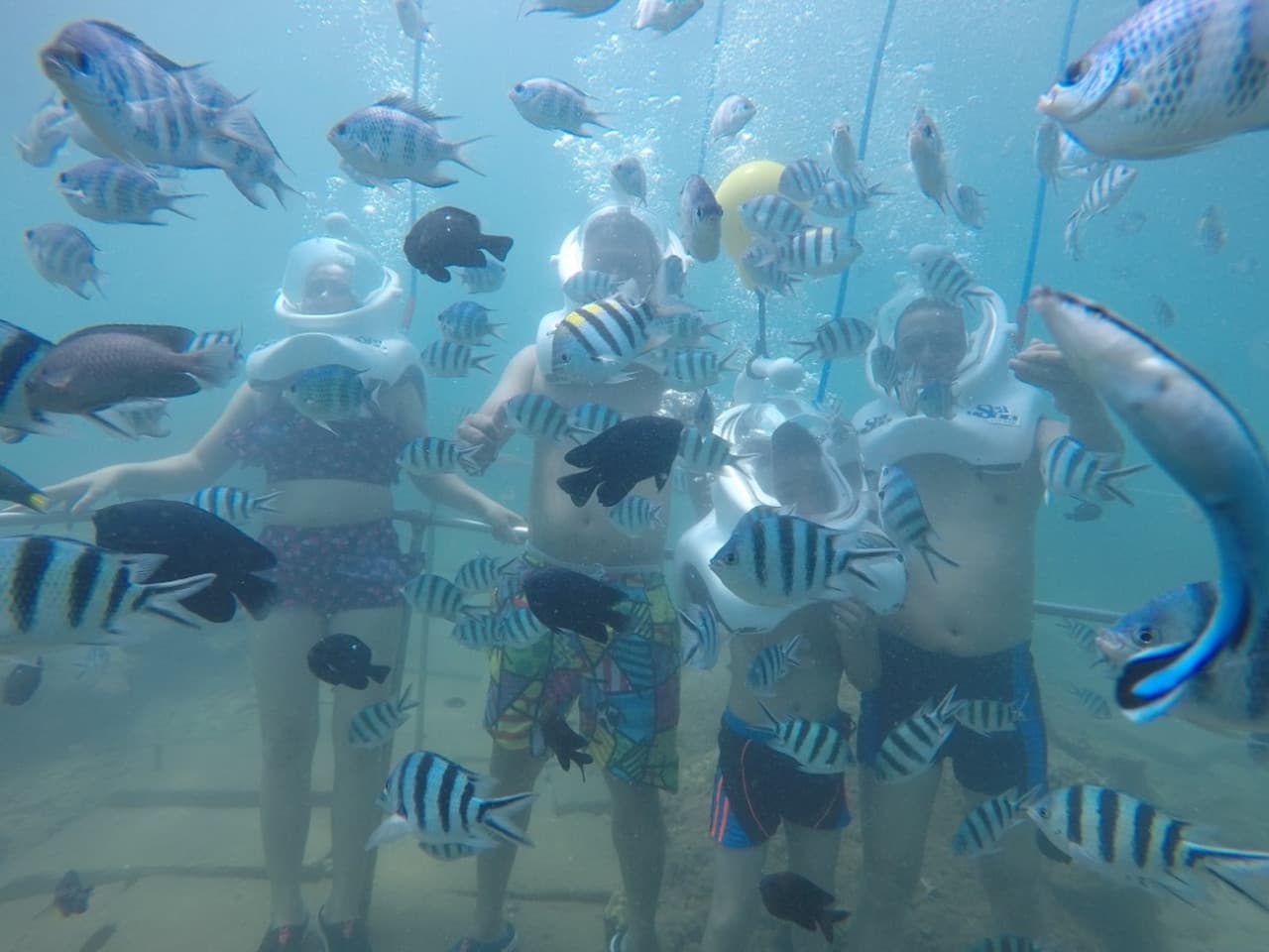 Cham Islands Underwater Walking and Snorkelling Half-Day Tour from Da Nang – photo 3