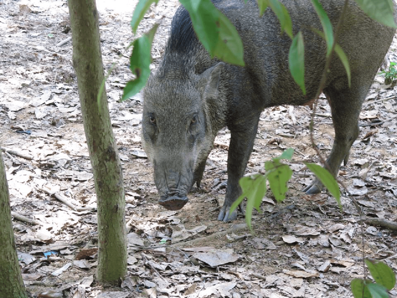 Pulau Ubin Cycling Tour – photo 18