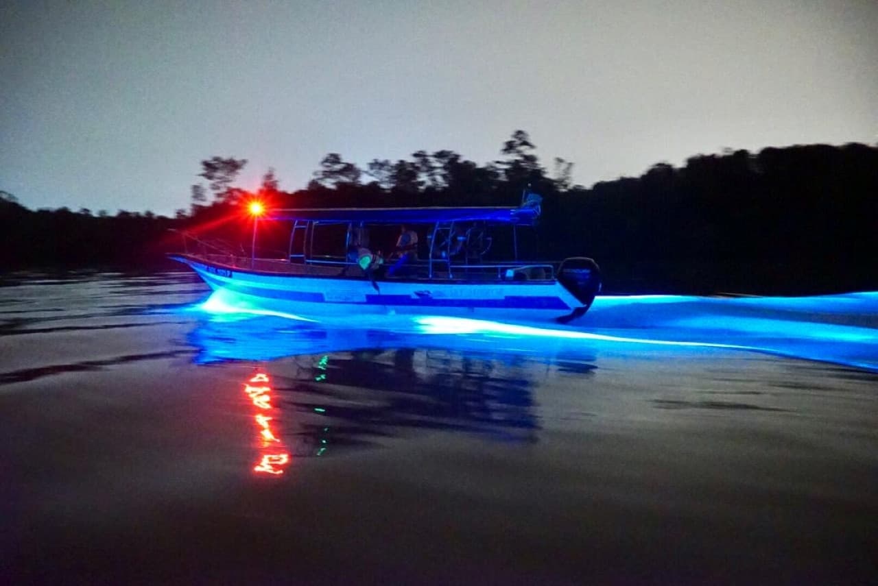 Blue Tears Boat Cruise in Kuala Selangor – photo 7