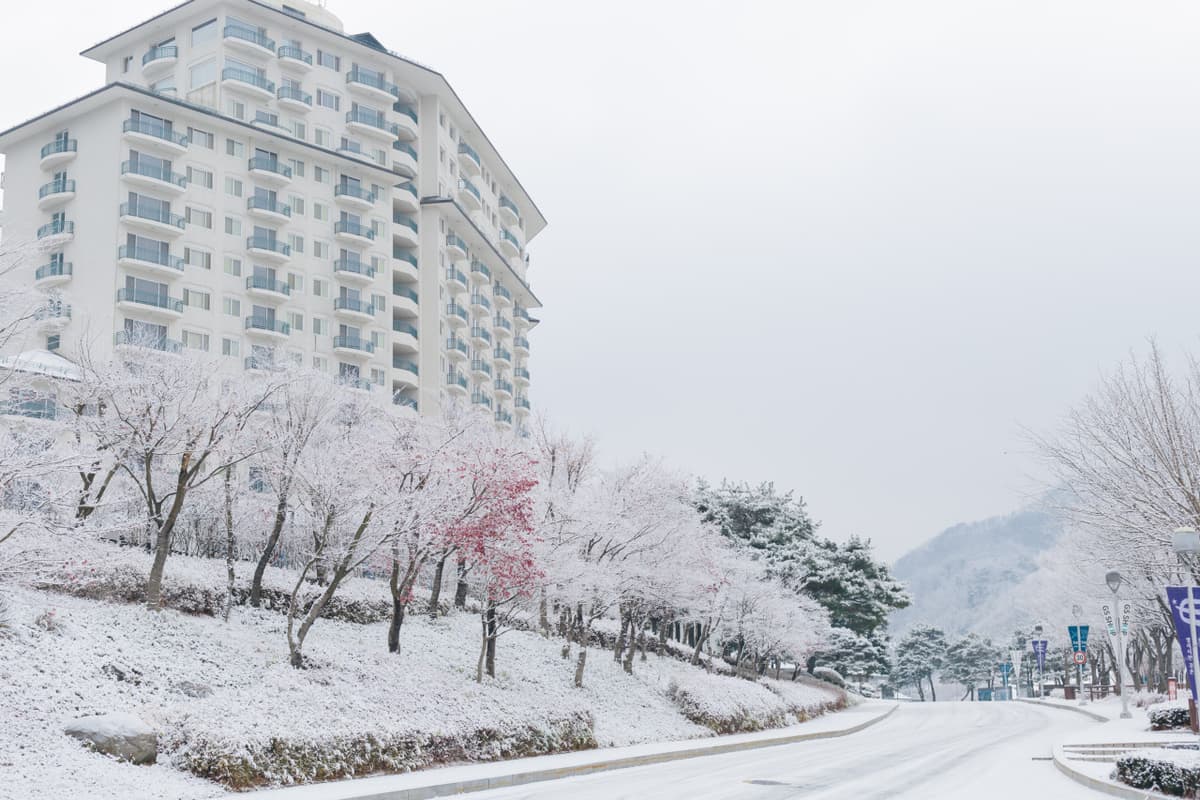 Elysian Gangchon Ski Resort and Eobi Ice Valley Full-Day Tour from Seoul