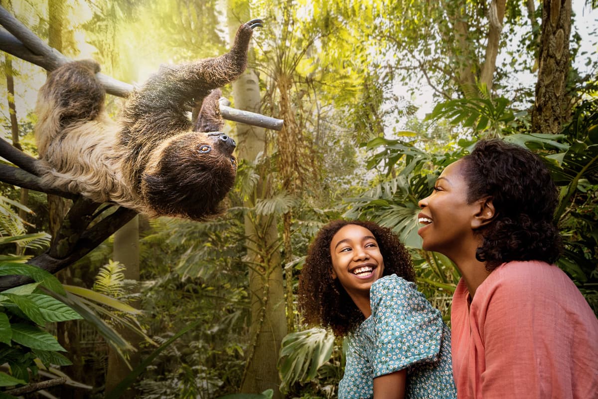 Go City San Diego All-Inclusive Pass Plus: Save up to 50% on Attractions