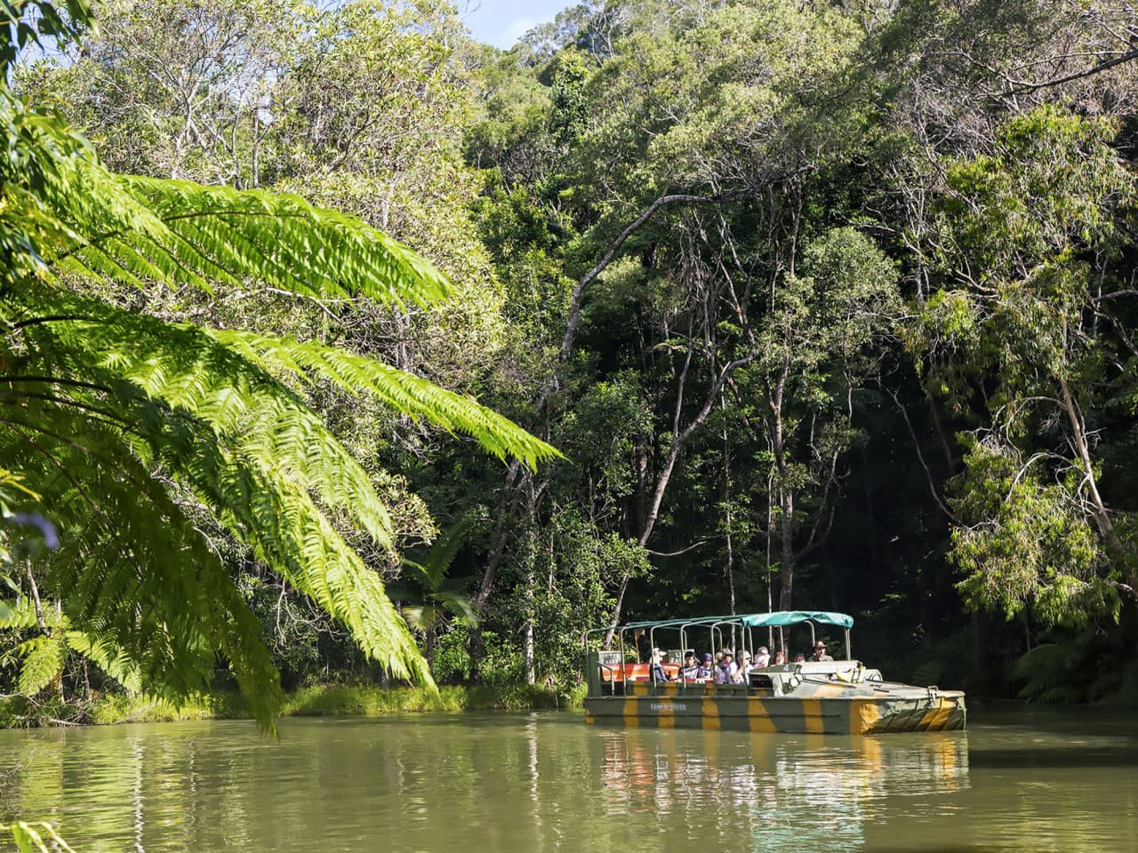Full-Day Kuranda Tour with Skyrail Cableway, Scenic Railway, Rainforestation and Butterfly Sanctuary – photo 7