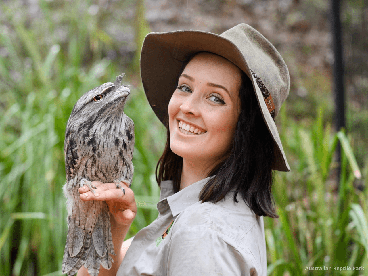 Australian Reptile Park – photo 41