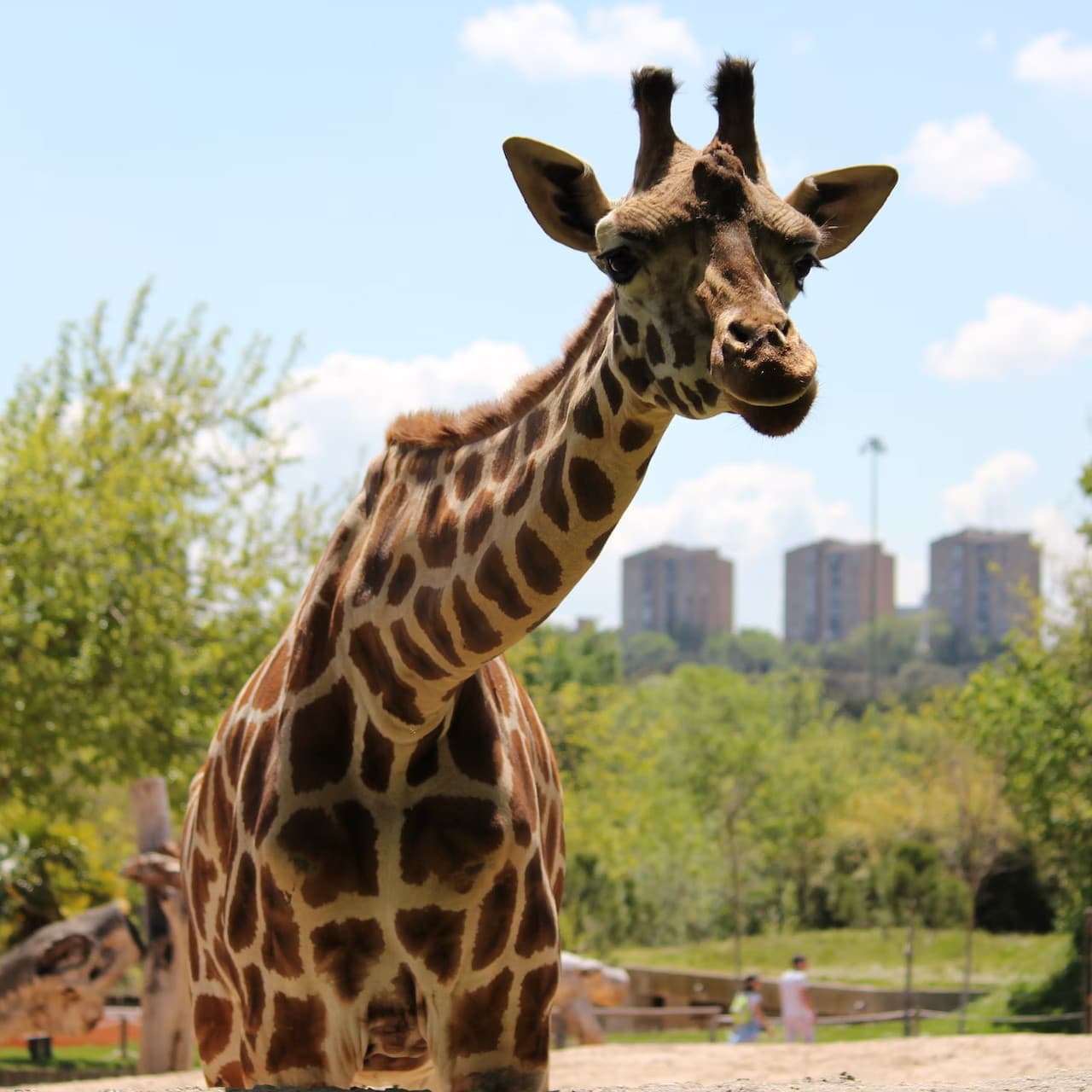 Zoo Aquarium Madrid – photo 2
