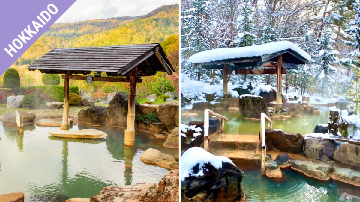 Have Fun in Hokkaido Pass - 1 Week Free Pass