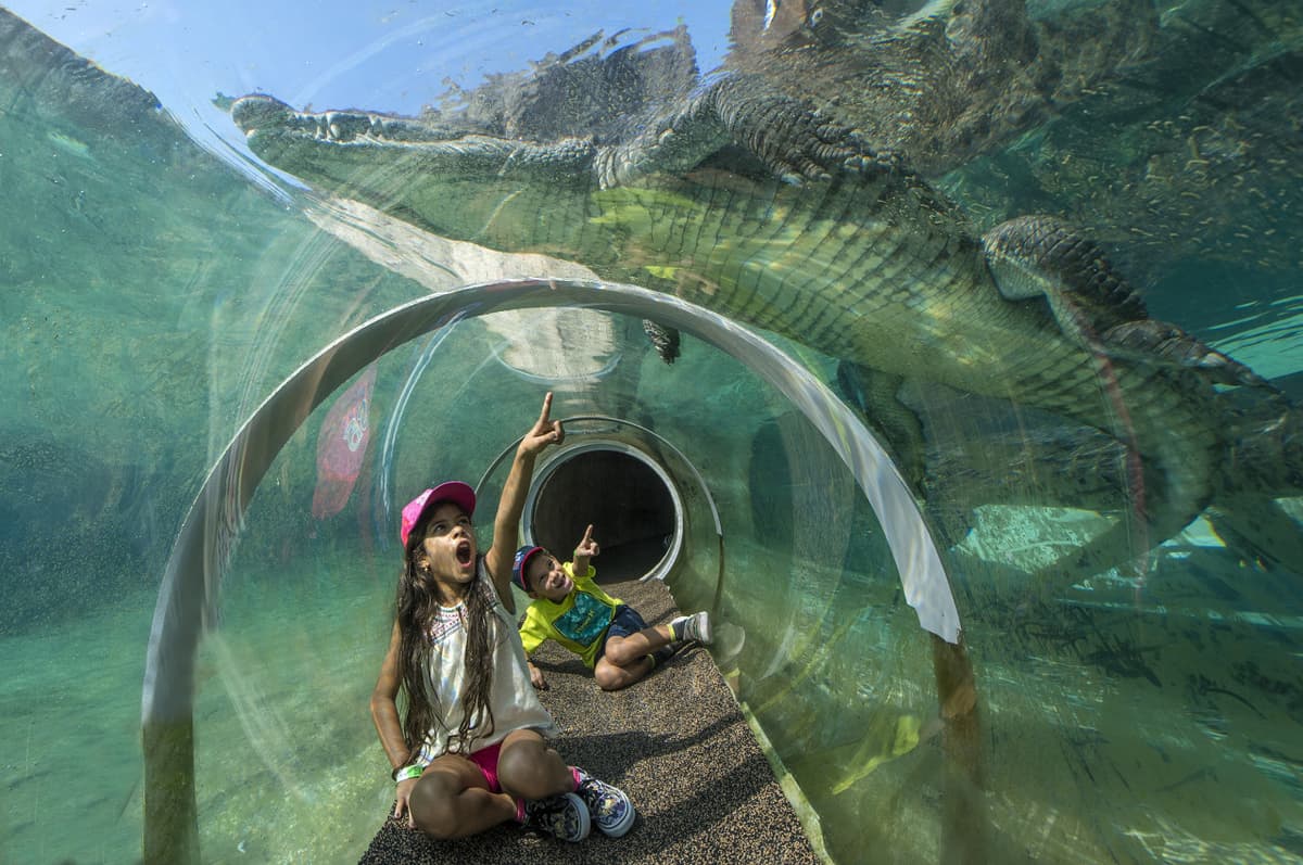 Go City Miami All-Inclusive Pass: Save up to 50% on Attractions