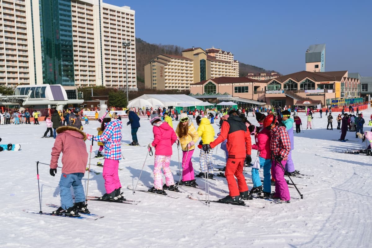 Vivaldi Park Ski World and Nami Island Full-Day Tour from Seoul