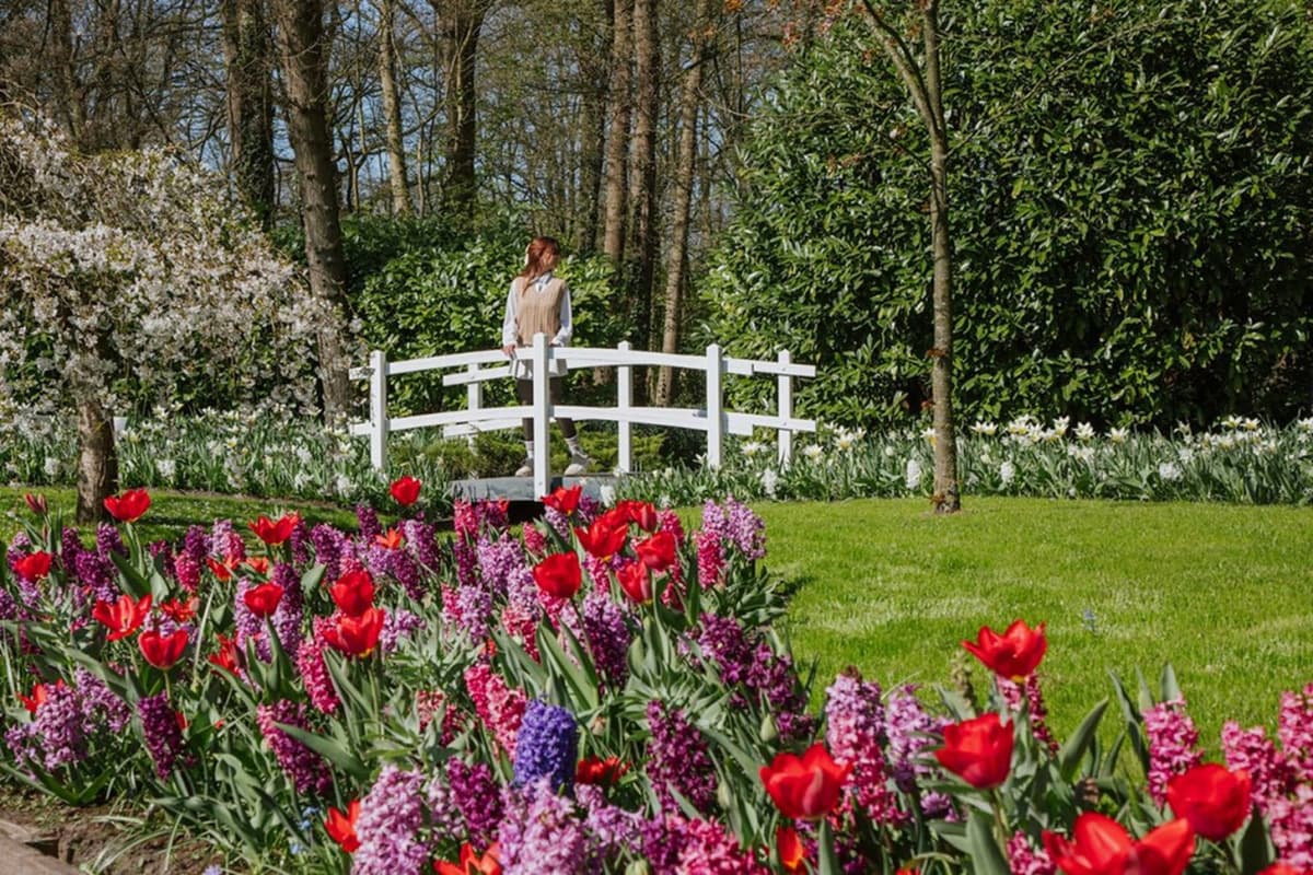 Keukenhof Gardens Ticket with Round Trip Bus Transfer from Amsterdam