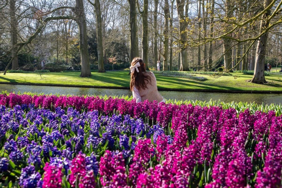 Keukenhof Gardens Ticket with Round Trip Bus Transfer from Amsterdam