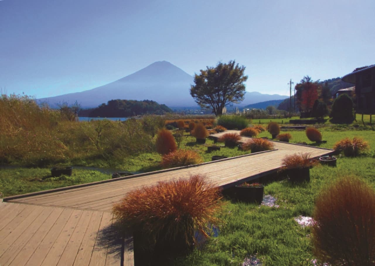 Mount Fuji and Arakurayama Sengen Park 1 Day Bus Tour – photo 6