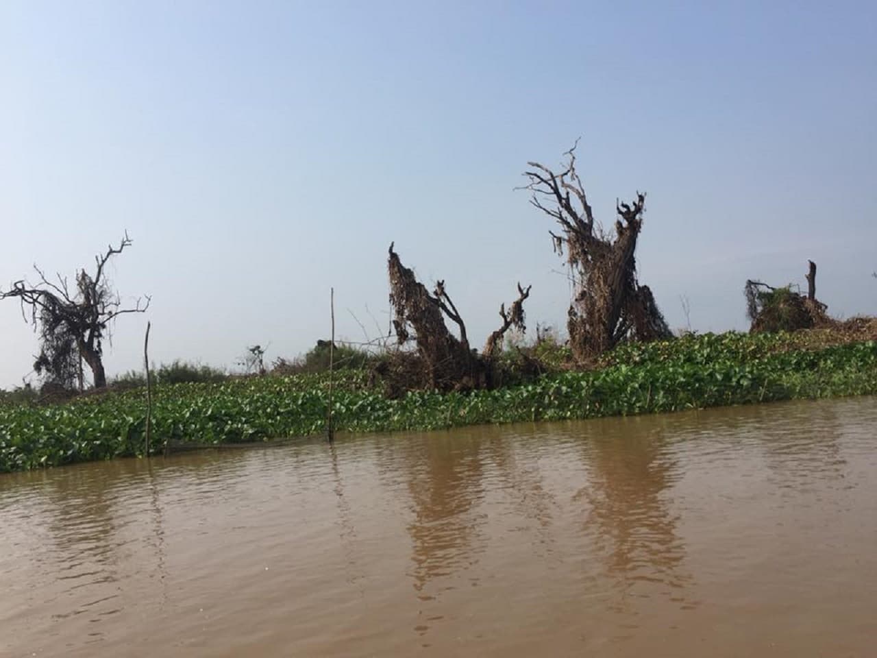 Tonle Sap Floating Village Tour – photo 3