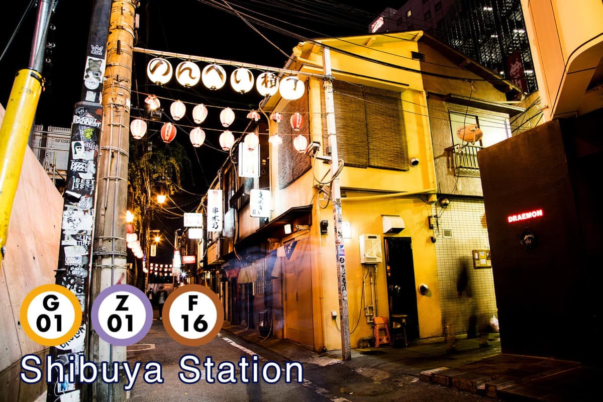 Tokyo Subway Ticket: Tokyo Metro and Toei Subway