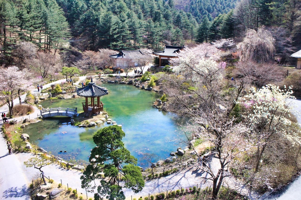 Nami Island, Mount Seorak, and Garden of Morning Calm Full-Day Tour from Seoul – photo 34