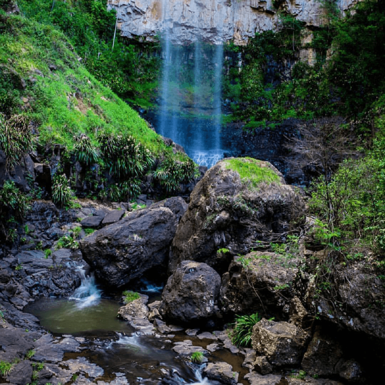 Springbrook National Park Night Tour