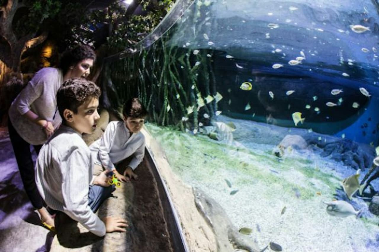 Seville Aquarium Ticket – photo 14