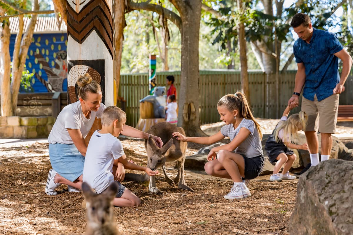 Dreamworld Gold Coast Ticket