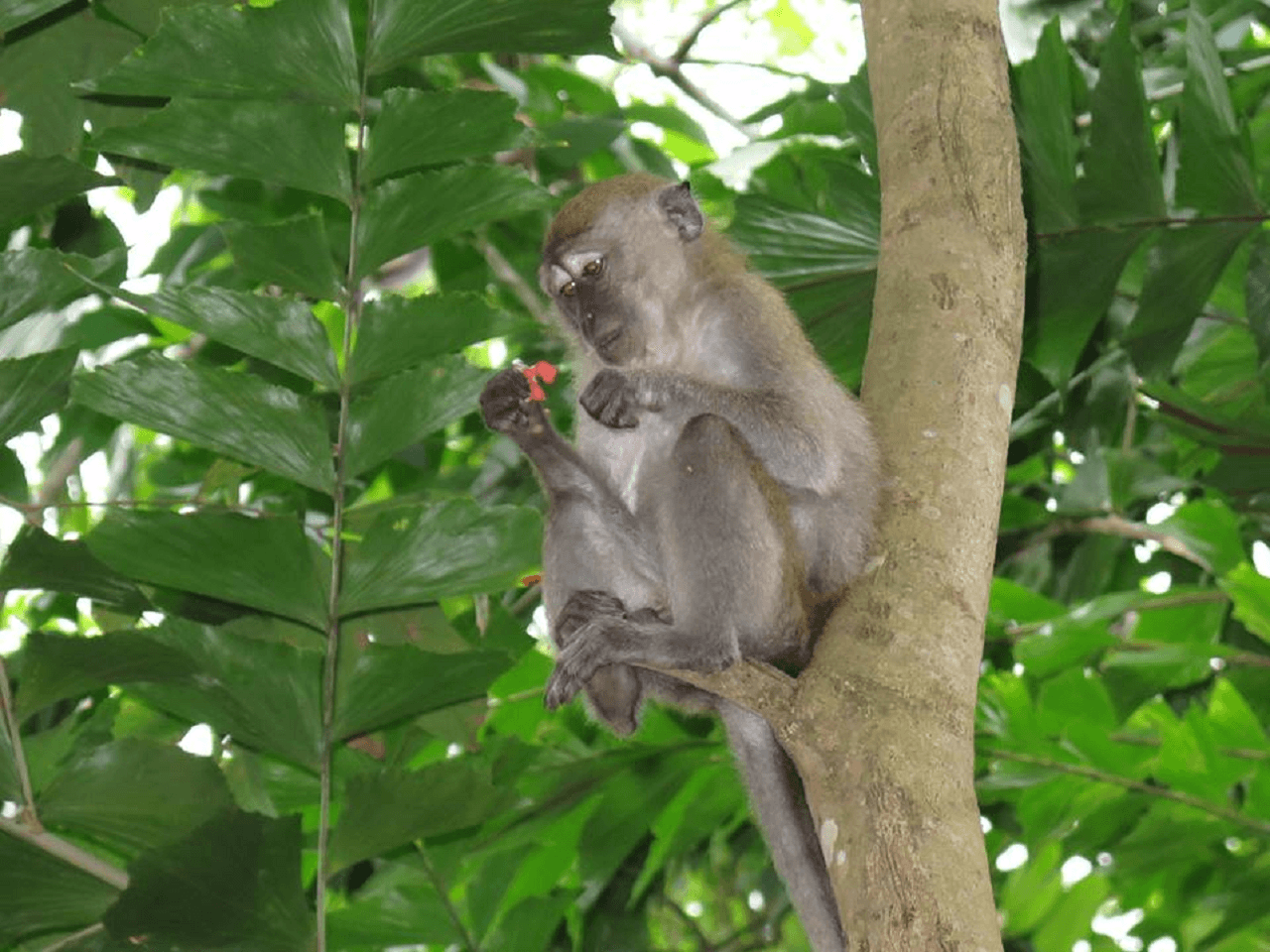 Pulau Ubin Cycling Tour – photo 17