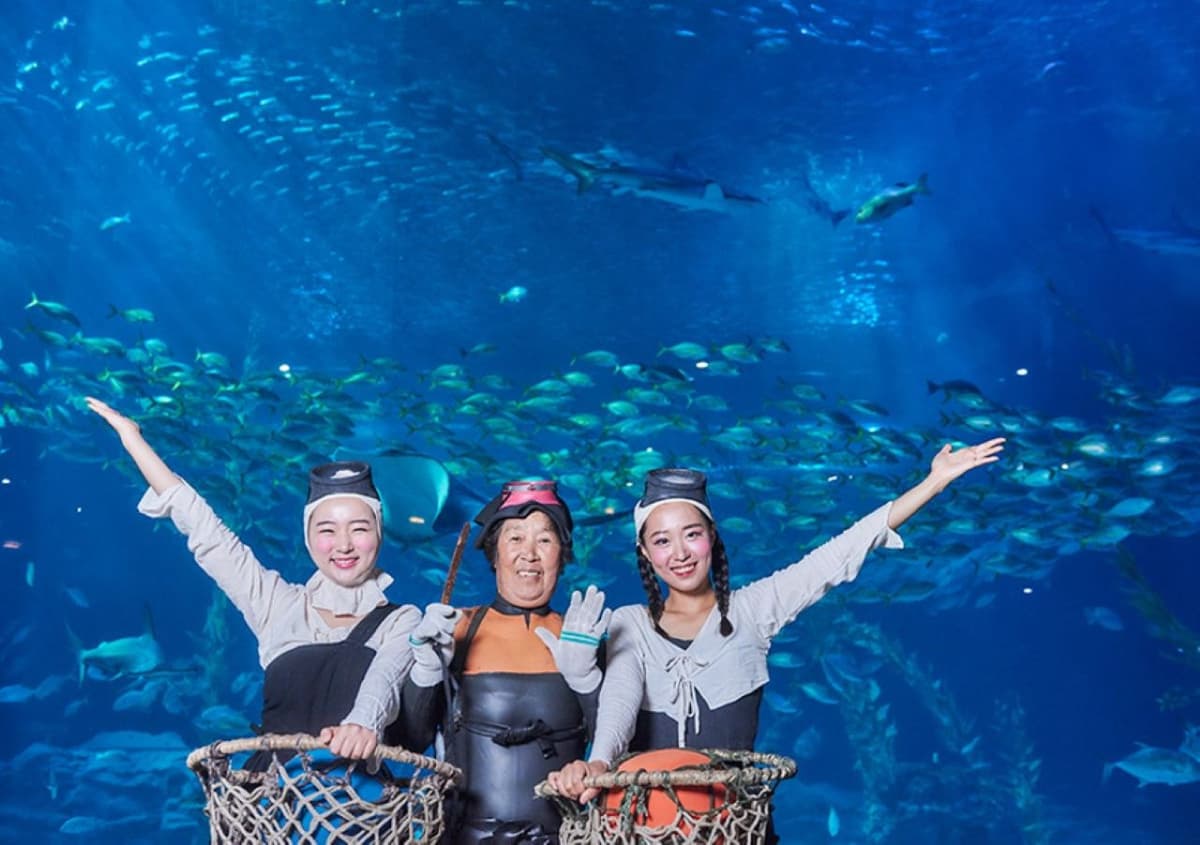 Aqua Planet Jeju Aquarium Ticket