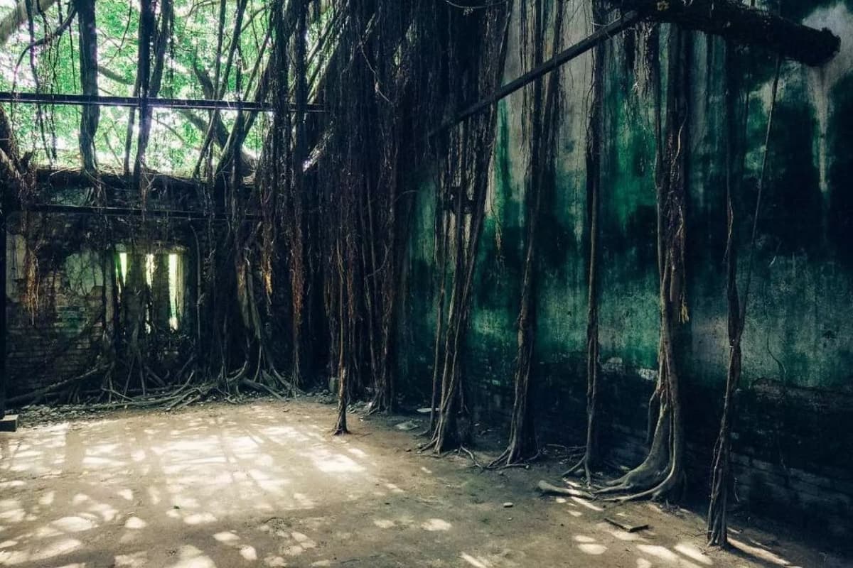 Tainan Anping Tree House Tour