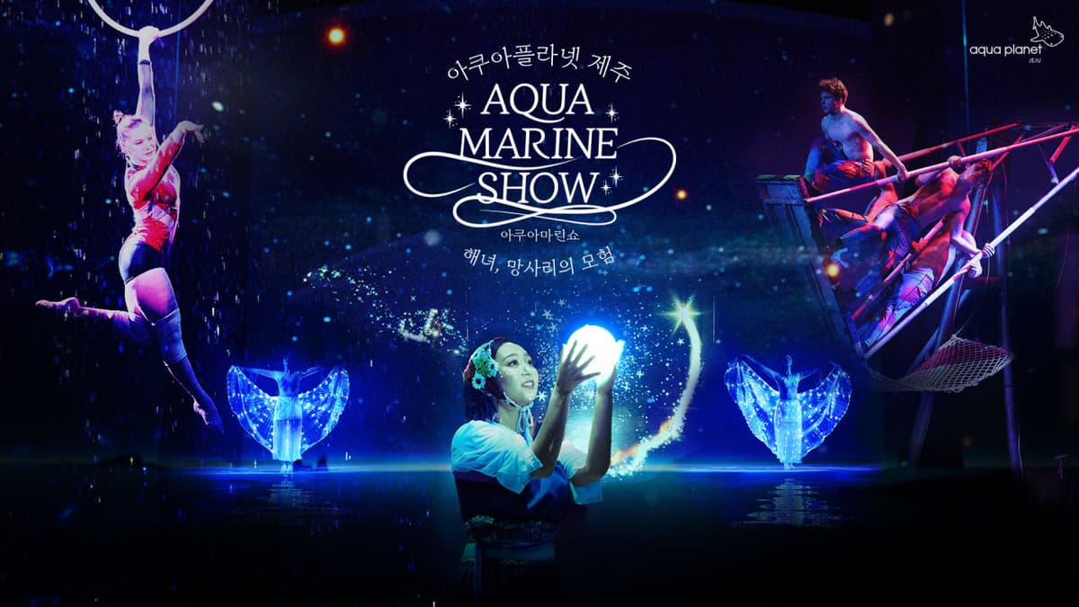 Aqua Planet Jeju Aquarium Ticket