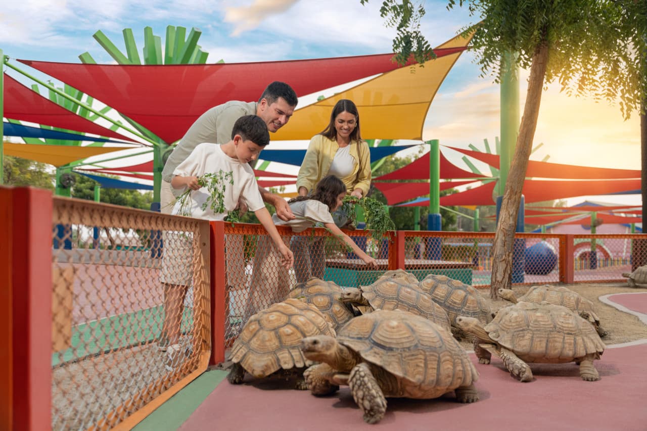 Dubai Safari Park Ticket – photo 13