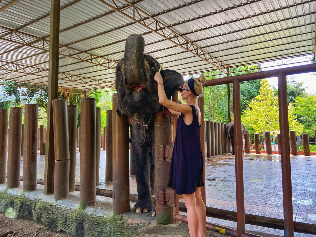Batu Caves and Kuala Gandah Elephant Sanctuary Full-Day Tour from Kuala Lumpur