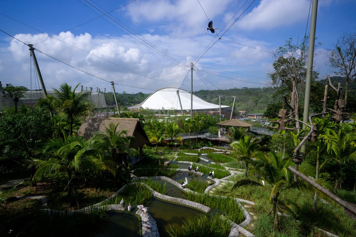COMBO: River Wonders + Bird Paradise Ticket