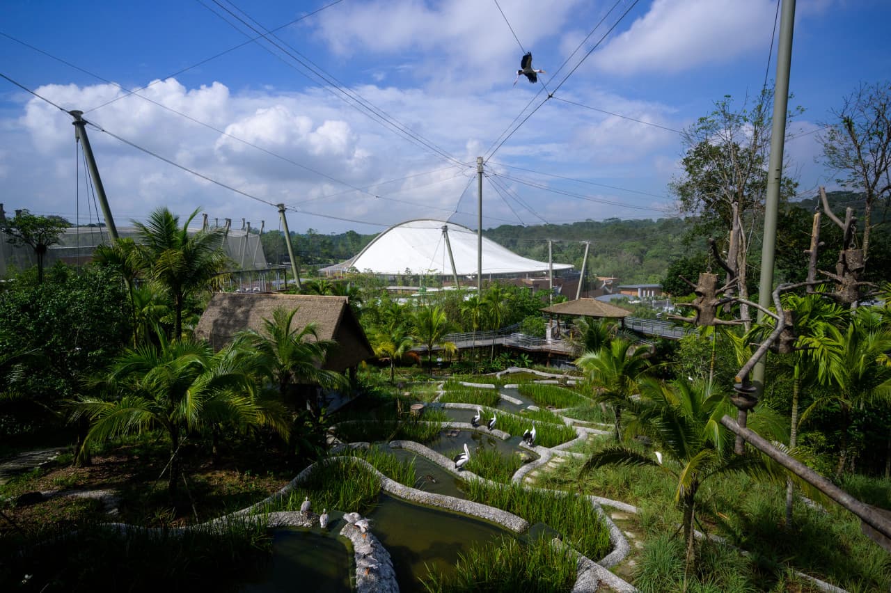 COMBO: River Wonders + Bird Paradise Ticket