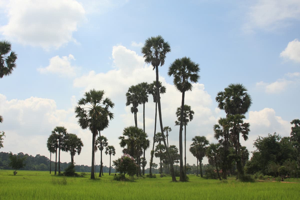 Treak Village Tour with Khmer Cooking Class