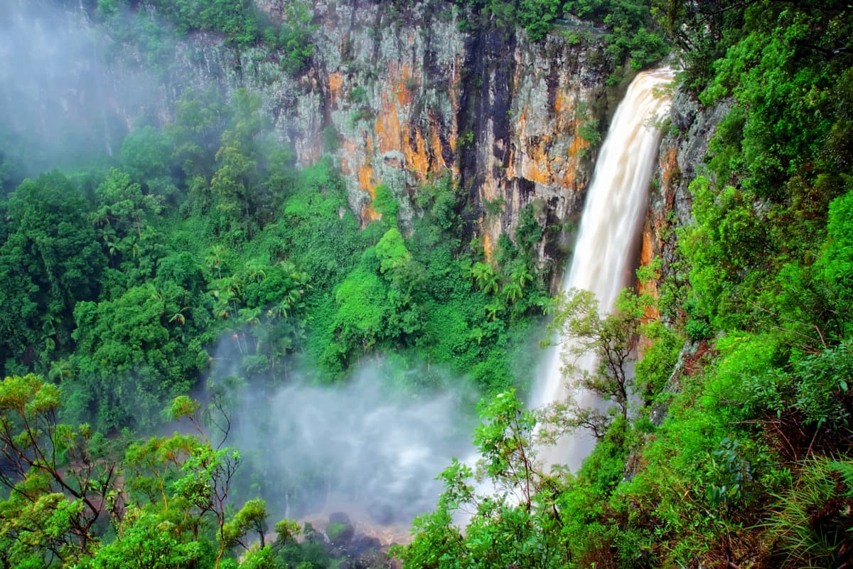 Springbrook National Park Tour: Natural Bridge and Waterfalls