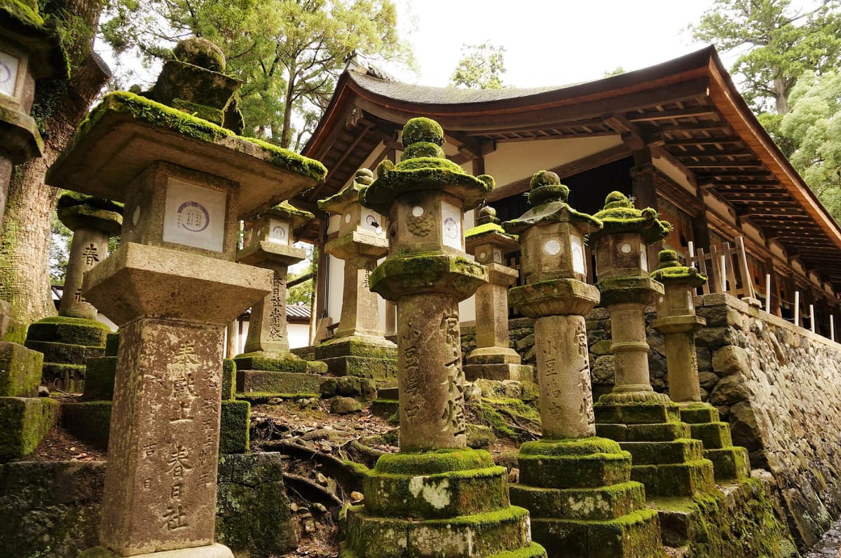 Nara Tour from Kyoto