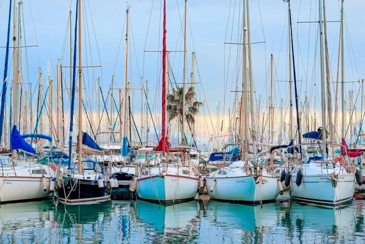 City Sightseeing Palma de Mallorca Hop-on Hop-off Bus Tour