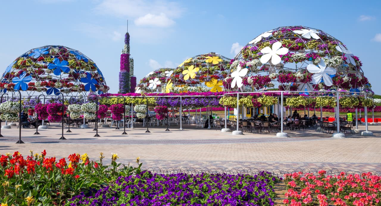 Dubai Miracle Garden Ticket – photo 4