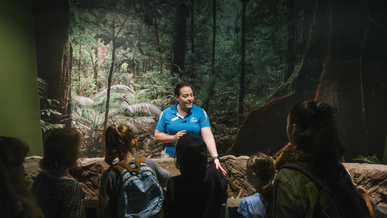Cairns Aquarium Ticket – photo 3
