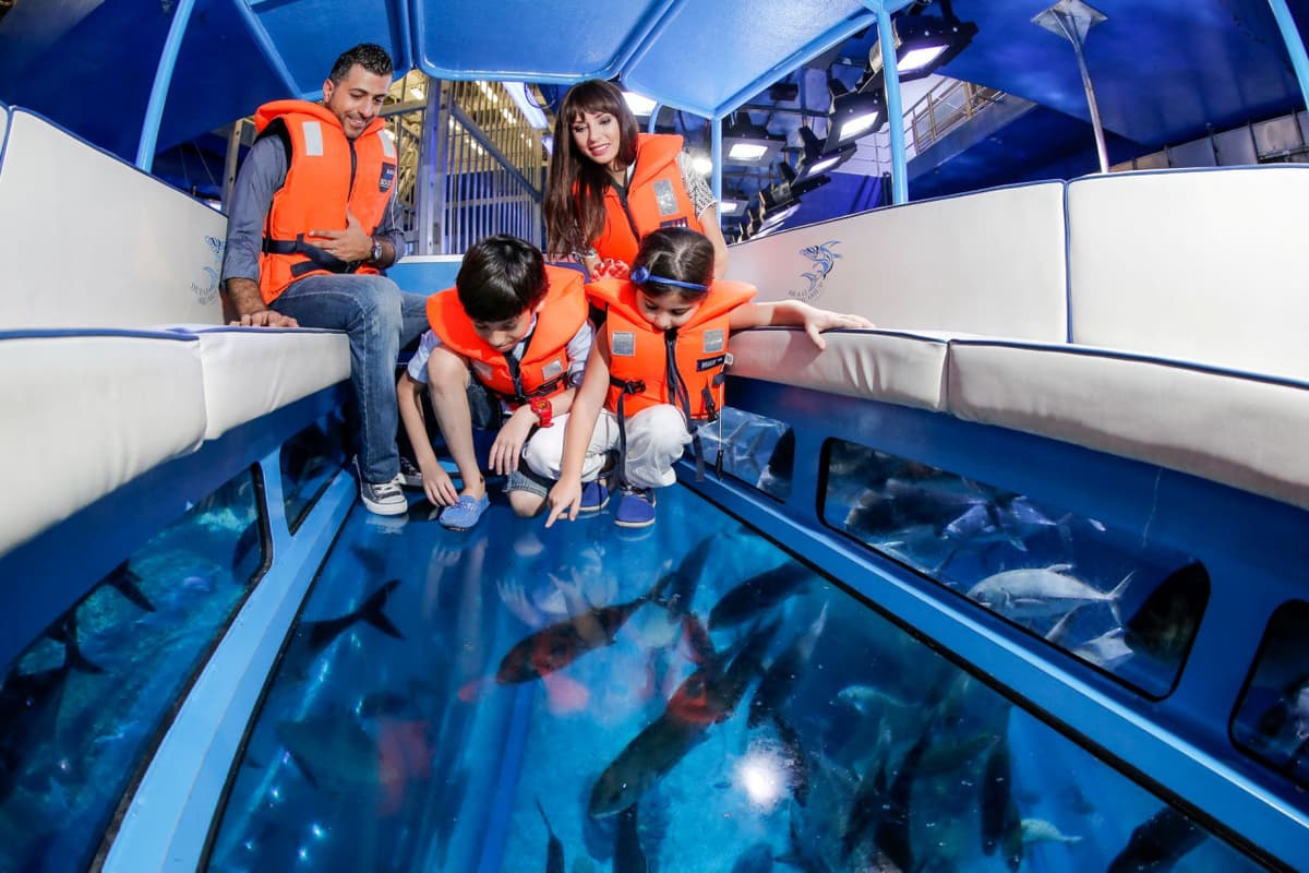 Go City Dubai Highlights Pass: Save up to 50% on Attractions