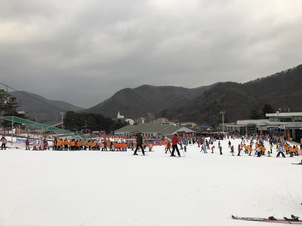 Jisan Forest Ski Resort Full-Day Tour from Seoul