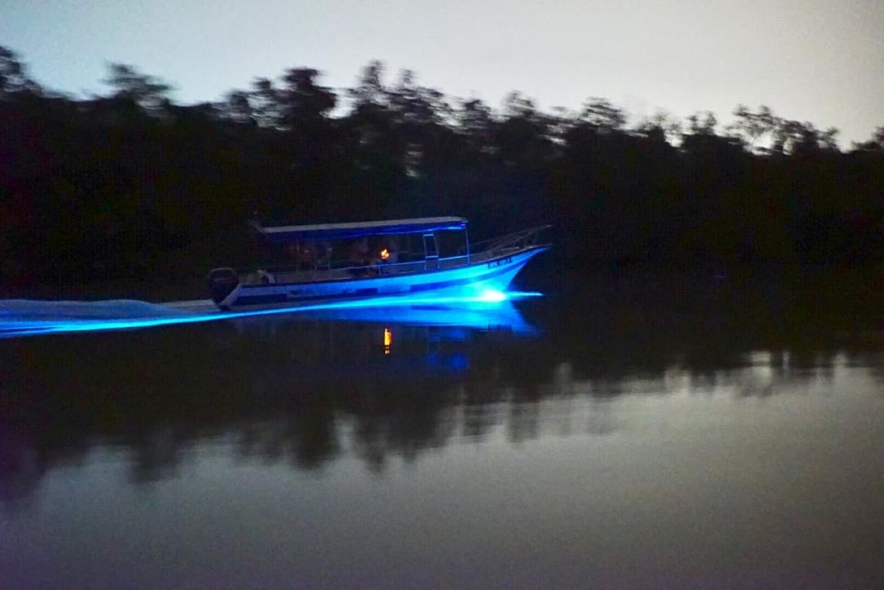 Blue Tears Boat Cruise in Kuala Selangor – photo 4