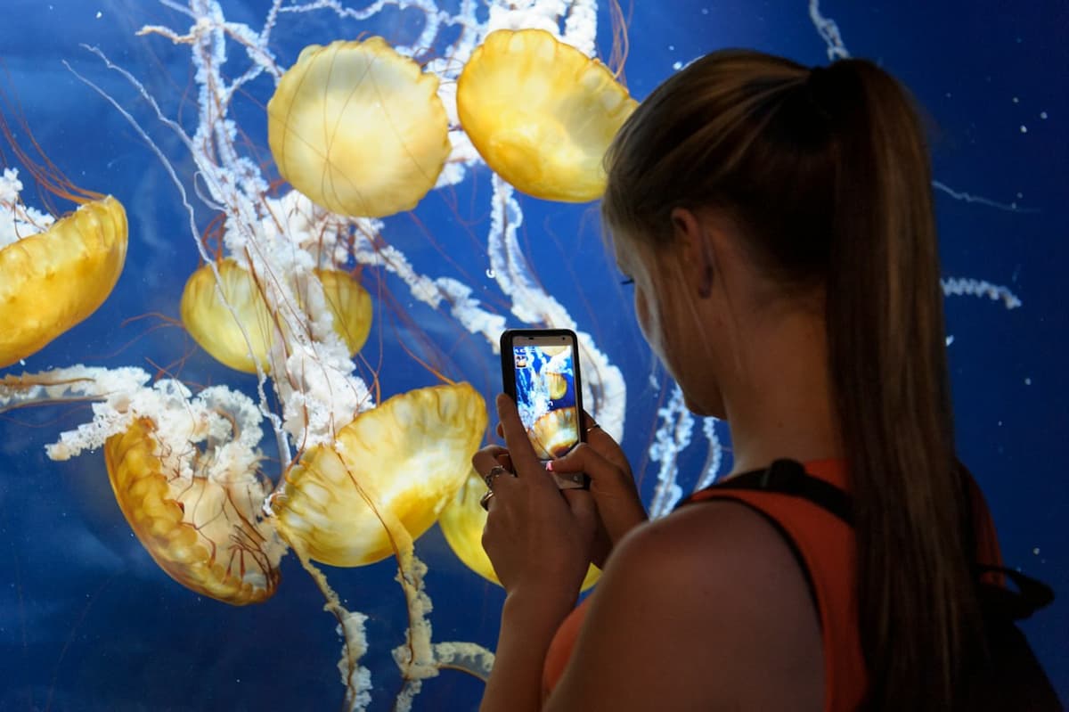San Francisco CityPASS: Admission to 4 Top Attractions
