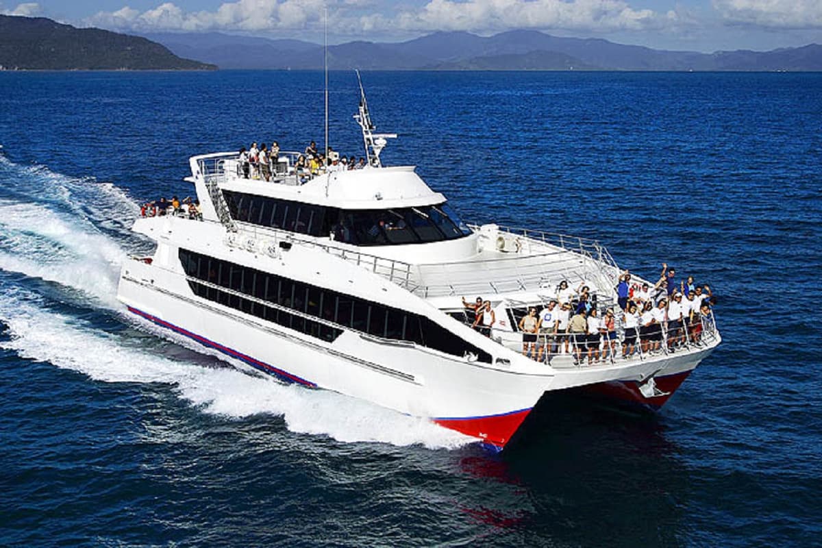 Moreton Bay Whale Watching