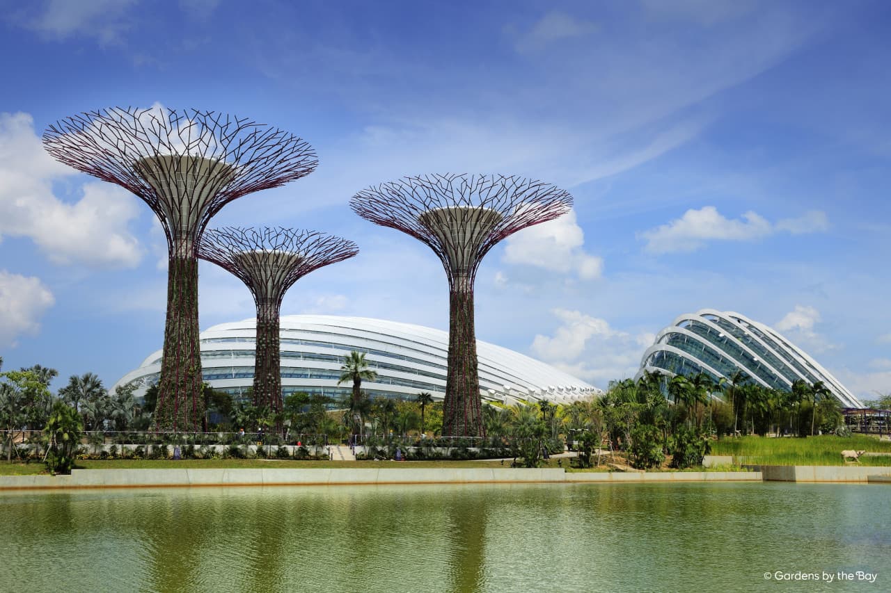 COMBO: Gardens by the Bay - Double Conservatories + Floral Fantasy Ticket – photo 13