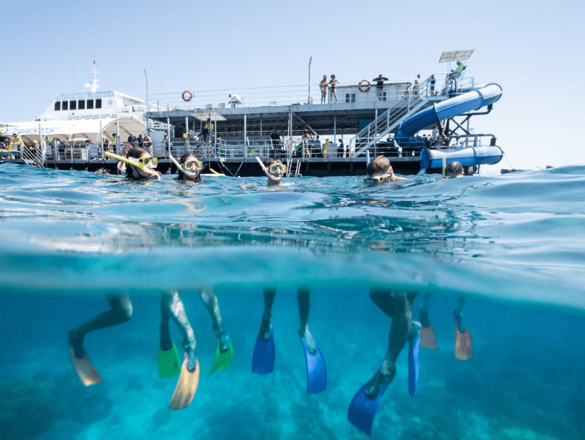 Great Barrier Reef Pontoon Full-Day Tour at Moore Reef