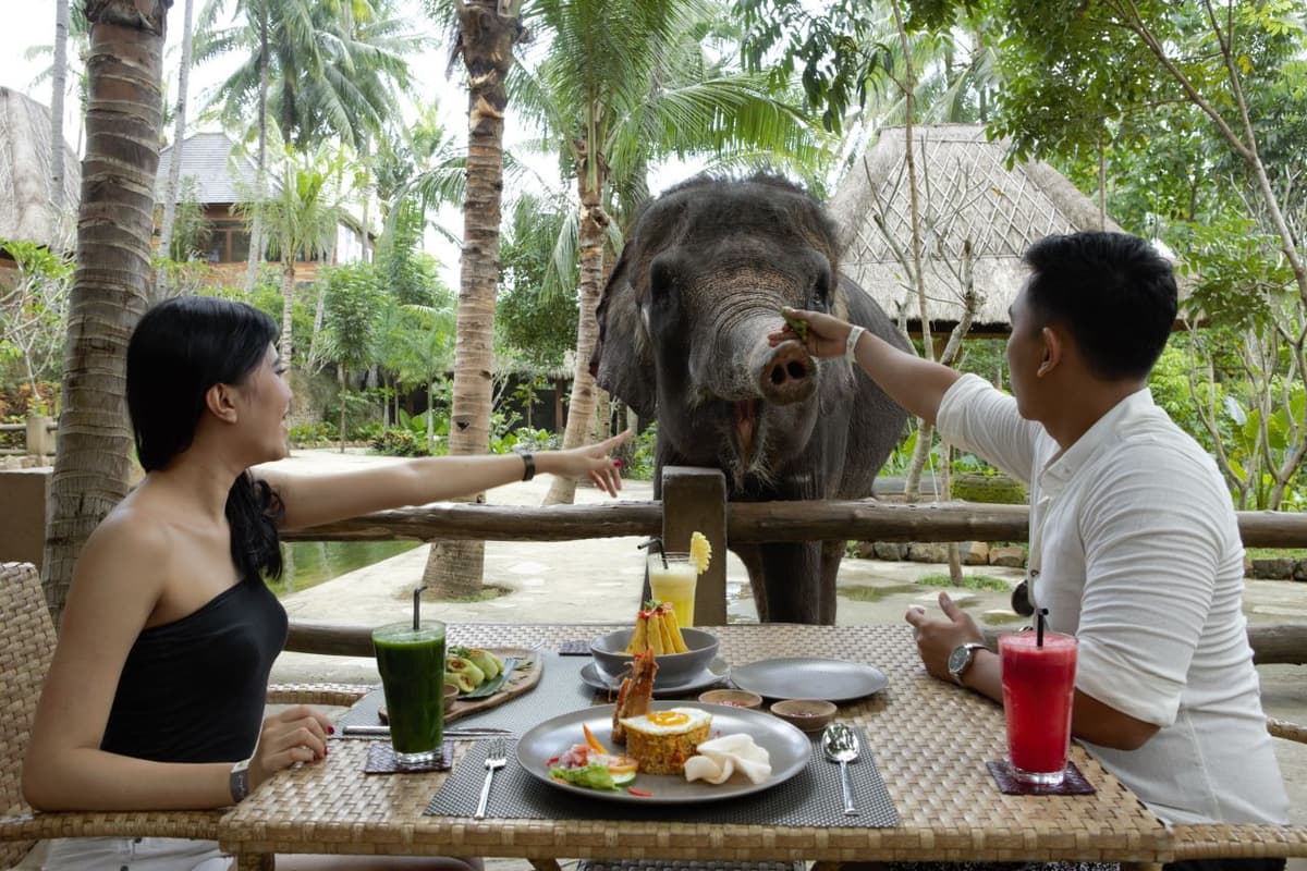 Lombok Wildlife Park Elephant Bath Experience