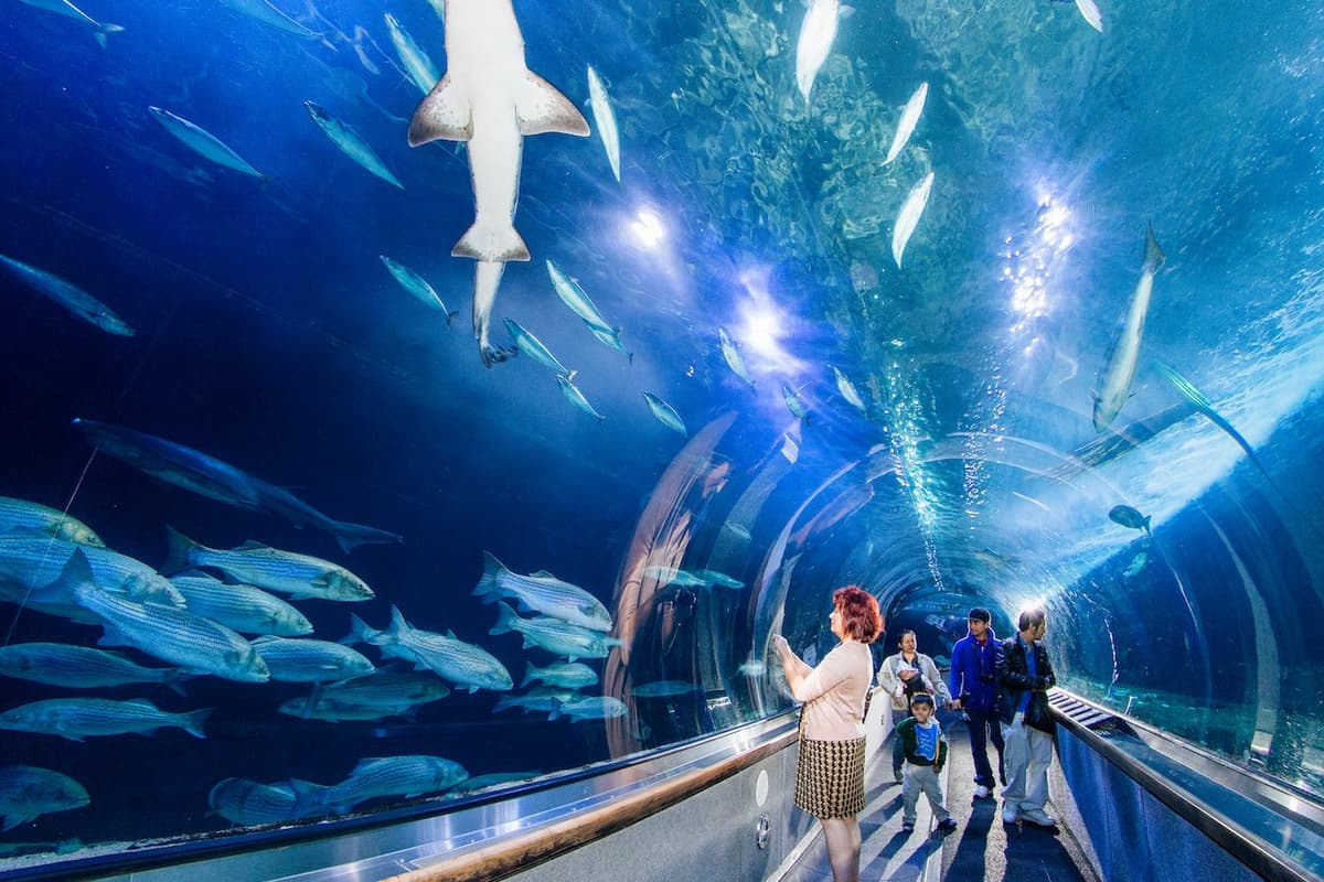 San Francisco CityPASS: Admission to 4 Top Attractions